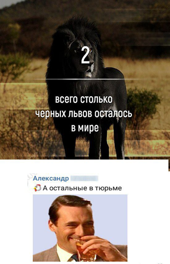 2 5 всего столько черных львов впадать в мире 4 А остальные в тюрьме А