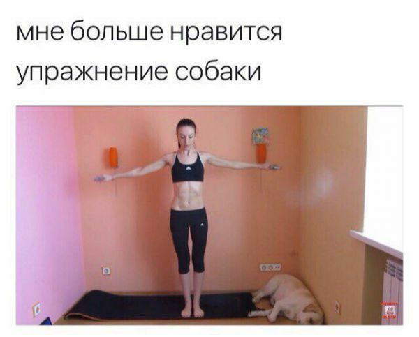 мне больше нравится упражнение собаки