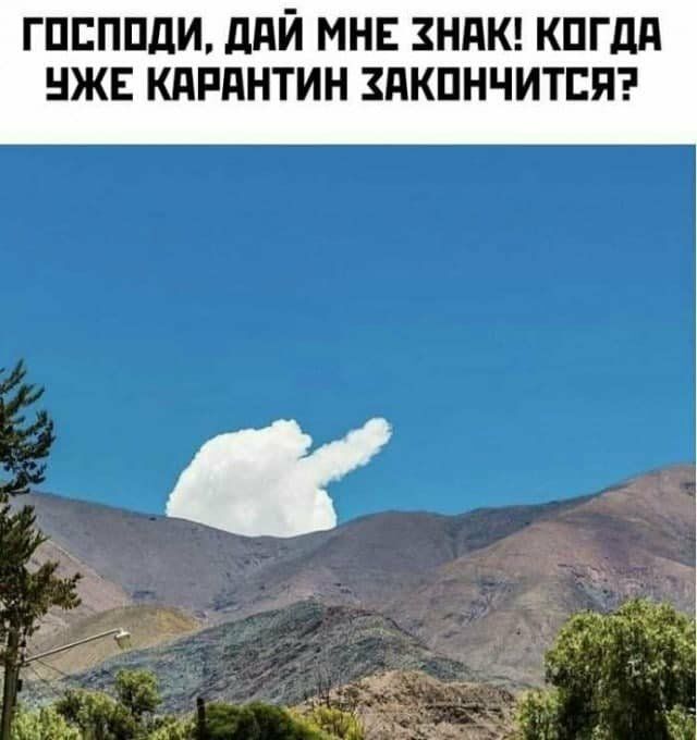 гппппди ддй мнв ндш кпгдд нжъ кдпднтин здкпнчитпяэ