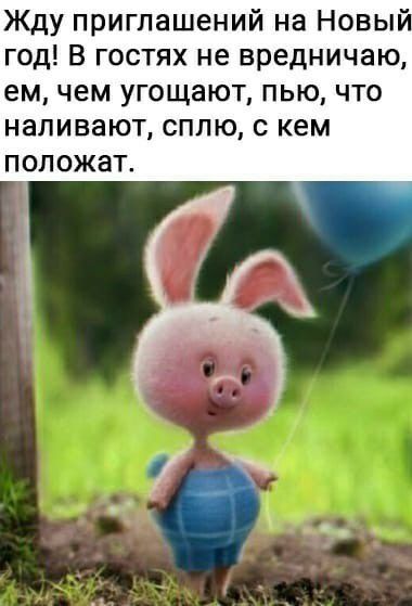 Жду приглашений на Новый год В гостях не вредничаю ем чем угощают пыо что наливают сплю с кем ПОП ОЖЗТ