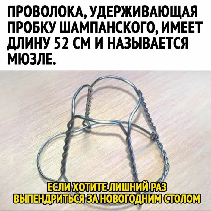 ПРОВОЛОКА УДЕРЖИВАЮЩАЯ ПРОБКУ ШАМПАНСКОГО ИМЕЕТ ДЛИНУ 52 СМ И НАЗЫВАЕТСЯ МЮЗЛЕ