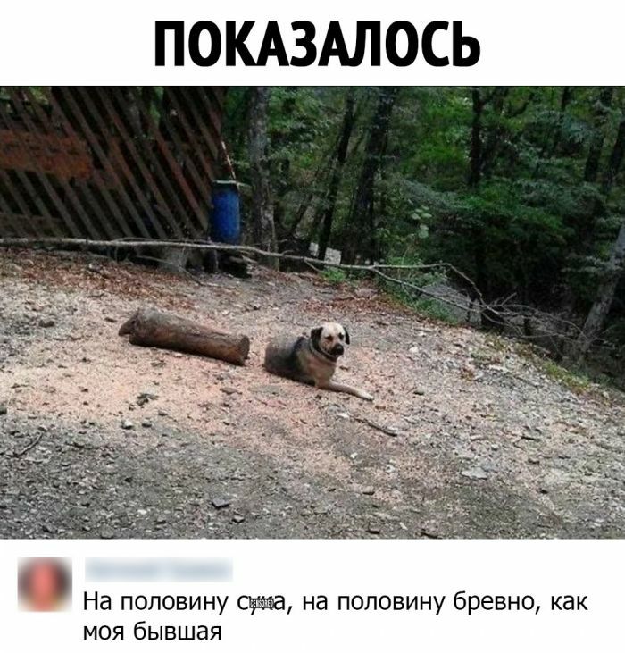 На половину сэта на половину бревно как моя бывшая