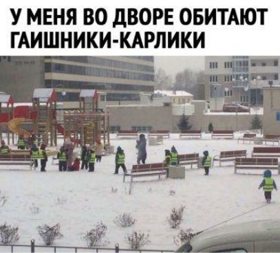 У МЕНЯ ВО дВОРЕ ОБИТАЮТ ГАИШНИКИ КАРЛИКИ