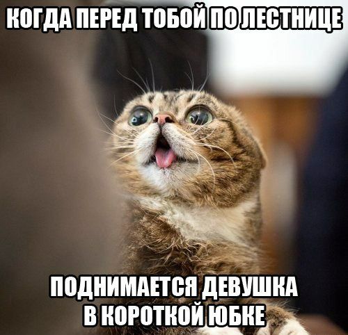 ногдд пшд поднимшсцдівушнд в ноготнощдн __