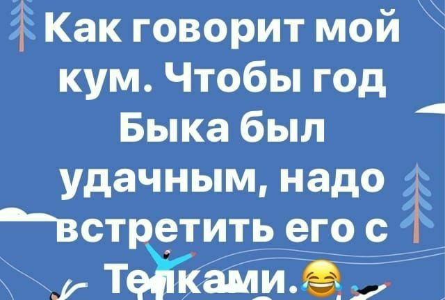 кум Чтобы год Быка был удачным надо встретить его с г т7