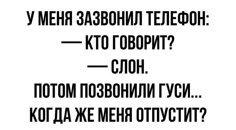 У МЕНЯ ЗАЗВОНИЛ ТЕЛЕФОН КТО ГОВОРИТ ОЛОН ПОТОМ ПОЗВОНИЛИ ГУОИ КОГДА ЖЕ МЕНЯ ОТПУОТИТ