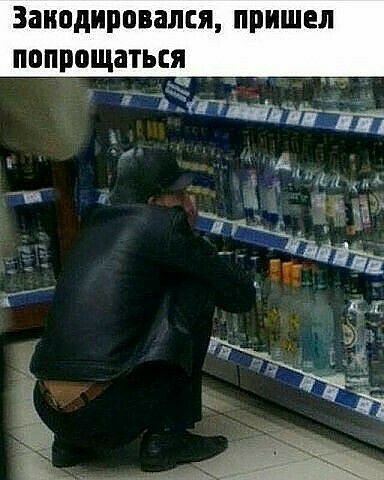 Заиодировал пришел попрощаться _ 3 3 Ставить Мы