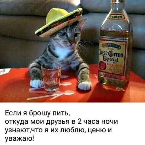 Если я брошу пить откуда мои друзья в 2 часа ночи узнаютчто я их люблю ценю и уважаю