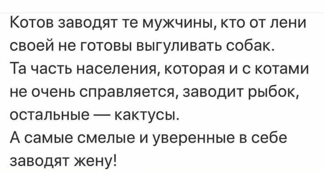 Котов заводят те мужчины кто от лени своей не готовы выгуливать собак Та часть населения которая и с котами не очень справляется заводит рыбок остальные кактусы А самые смелые и уверенные в себе заводят жену