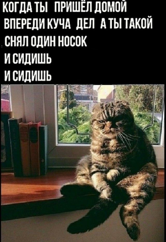 когддты пришёл помои _ впврвликучд пвп Атытдкои снял один носок исидишь идишь И С