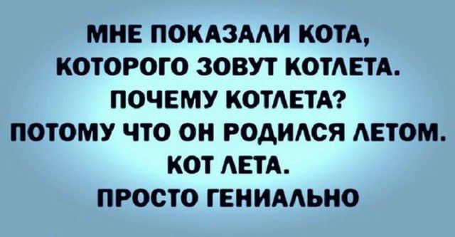 МНЕ ПОКАЗААИ КОТА КОТОРОГО ЗОВУТ КОТЕТА ПОЧЕМУ КОТЕТА ПОТОМУ ЧТО ОН РОДИАСЯ АЕТОМ КОТ АЕТА ПРОСТО ГЕНИААЬНО