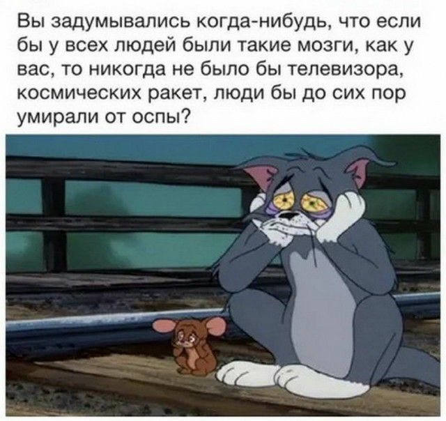 Вы задумывались когданибудь что если бы у всех людей были такие мозги как у вас то никогда не было бы телевизора космических ракет люди бы до сих пор умирали от оспы