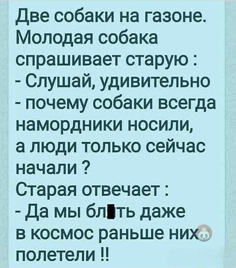 Две собаки на газоне Молодая собака спрашивает старую Слушай удивительно почему собаки всегда намордники носили а люди только сейчас начали Старая отвечает Да мы блть даже в космос раньше них полетели