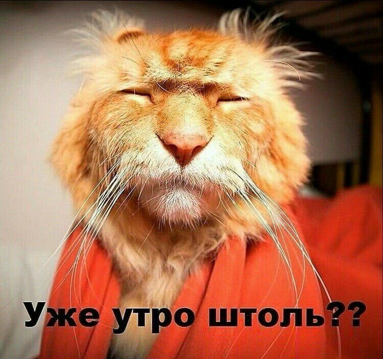_ Уд еЁроштопь ЁЁ и