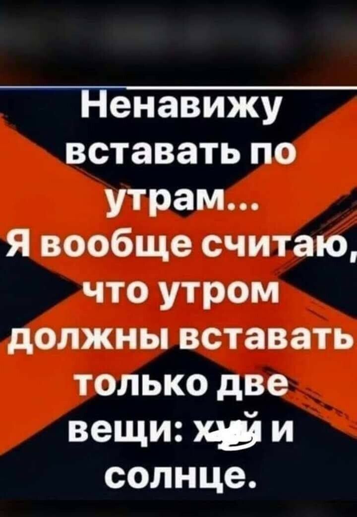 Ненавижу вставать по утрам Я вообще считаю что утром должны вставать только две вещи и солнце