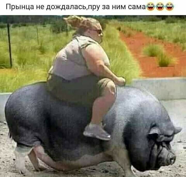 Прынца не дождаласьлру за ним самаЁ МЁЬЁ