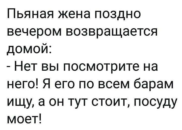 Пьяная жена поздно вечером возвращается домой Нет вы посмотрите на него Я его по всем барам ищу а он тут стоит посуду моет