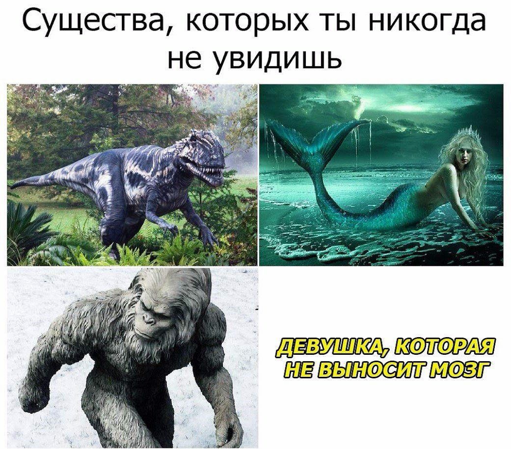 Существа которых ты никогда не увидишь дввущкд которм выноеит мозг
