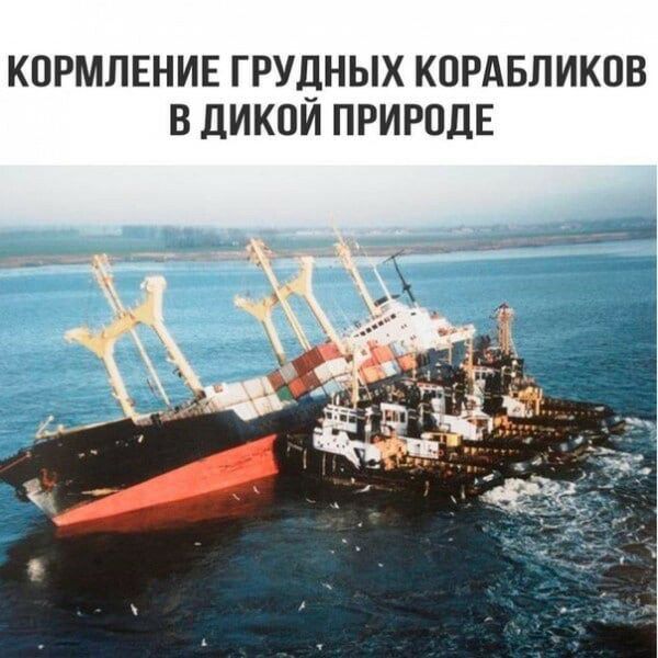 КОРМЛЕНИЕ ГРУДНЫХ КОРАБЛИКОВ В дИКОИ ПРИРОДЕ