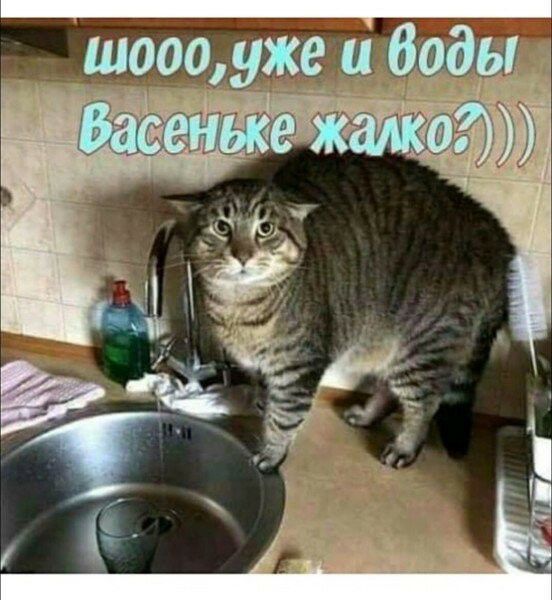 шоооуже_ и биды