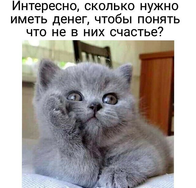 Интересно СКОЛЬКО НУЖНО иметь ДЕНЕГ ЧТОбЫ ПОНЯТЬ ЧТО не В НИХ счастье