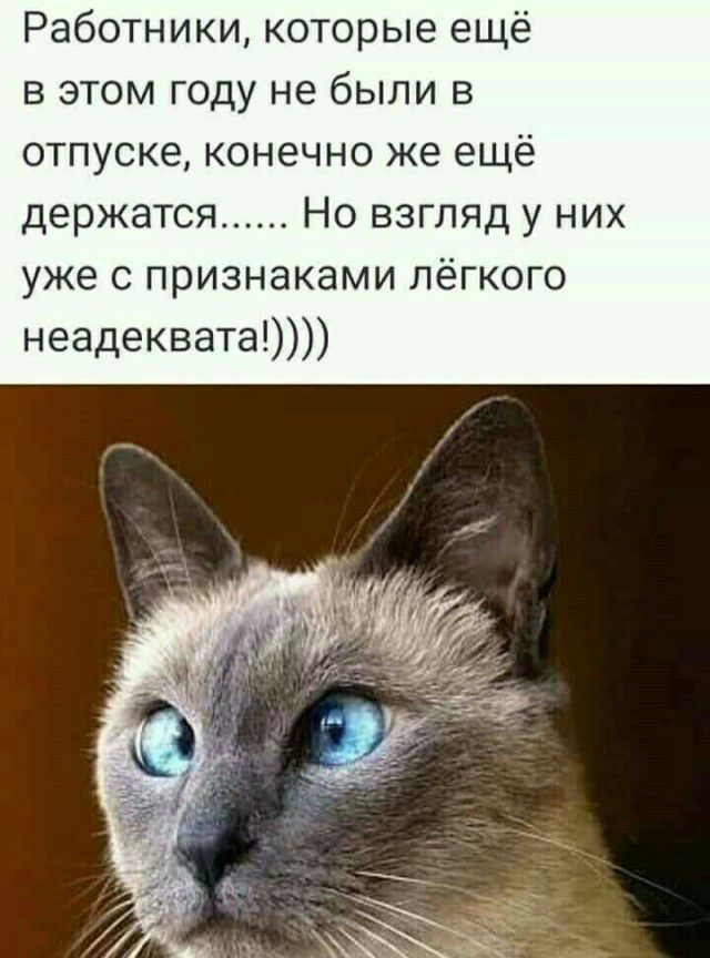 Работники которые ещё в этом году не были в отпуске конечно же ещё держатся Но взгляд у них уже с признаками лёгкого неадеквата