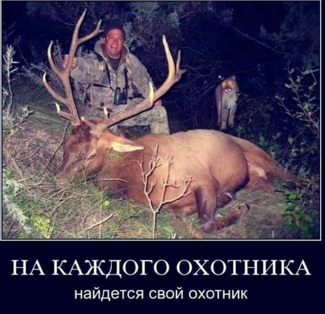 НА КАЖДОГО ОХОТНИКА найдется свой охотник