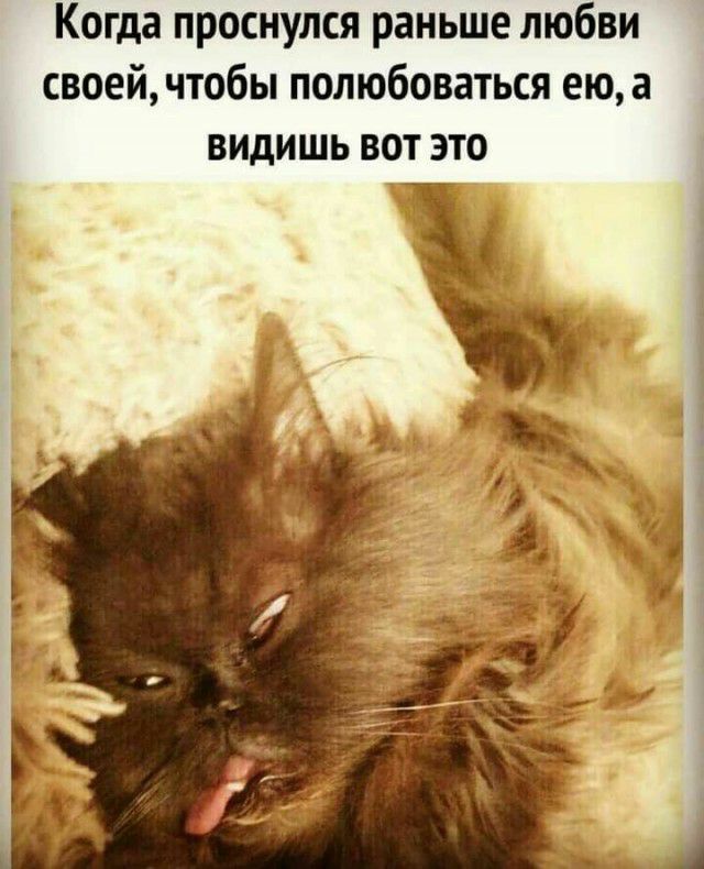 Когда проснулся раньше любви своей чтобы полюбоваться ею а видишь вот это