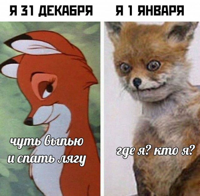 Я 31 дЕКдЕРП Я 1 ЯНВАРЯ