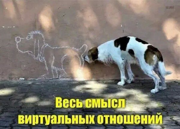 весюмьіЁаь виртуальных отиоШвньЩд _