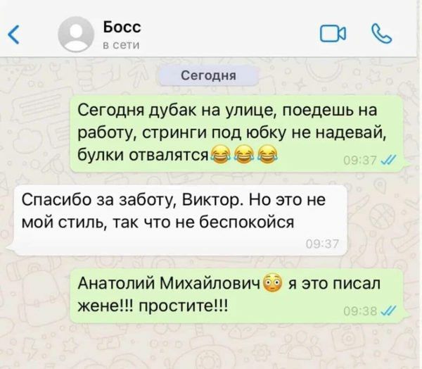 Босс СЮ _ Сегодня Сегодня дубак на улице поедешь на работу стринги под юбку не надевай бул ки отвапятсяэ и Спасибо за заботу Виктор Но это не мой стиль так что не беспокойся Анатолий Михайловичё я это писал жене простите