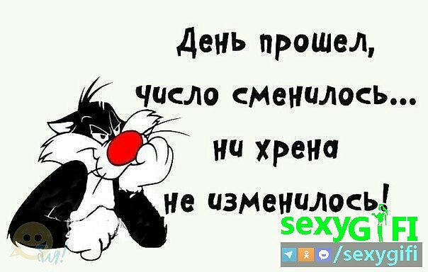 День прошел число сменилось ни хрена Не изменилось 5ехУСі П