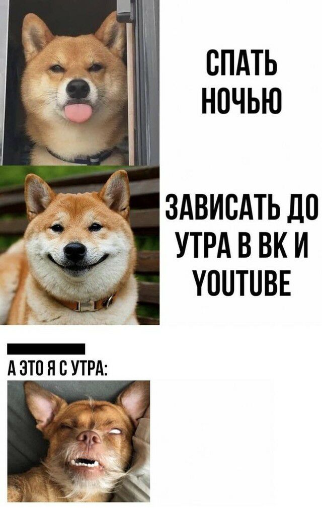 СПАТЬ НОЧЬЮ ЗАВИСАТЬ ДО УТРА В ВК И УПНТНВЕ