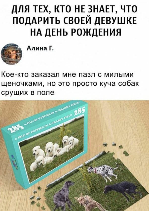 ДЛЯ ТЕХ КТО НЕ ЗНАЕТ ЧТО ПОДАРИТЬ СВОЕЙ ДЕВУШКЕ НА ДЕНЬ РОЖДЕНИЯ Алина Г Кое кто заказал мне пазл с милыми щеночками но это просто куча собак срущих в попе тд и д