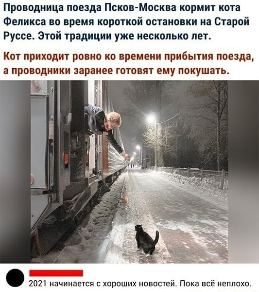 Проводница поезда Псков Москва кормит кота Феликса во время короткой остановки на Старой Руссе Этой традиции уже несколько лет Кот приходит ровно ко времени прибытия поезда а проводники заранее готовят ему покушать _ 2021 начинается хороших новостей Пока всё неплохо