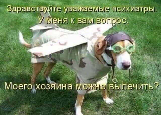 здравст дд тё уважаемр рихиатры