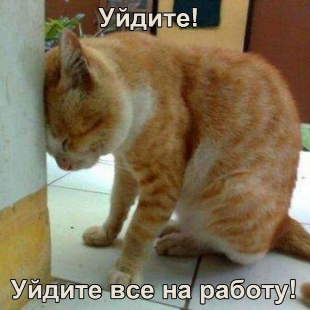 Уйдите