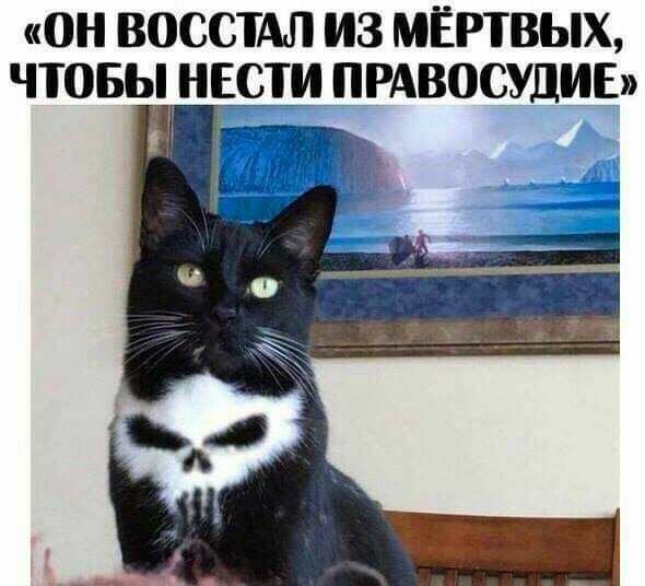 ОН ВОССТАЛ ИЗ МЁРТВЫХ ЧТОБЫНЕСТИ ПРАВОСУДИЕ