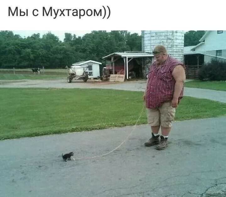 Мы с Мухтаром