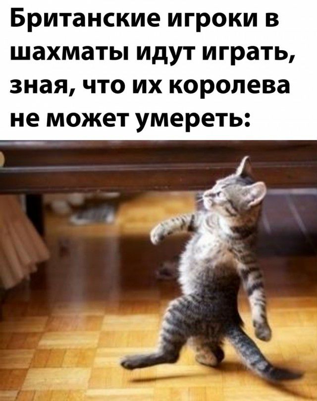 Британские игроки в шахматы идут играть зная что их королева не может умереть