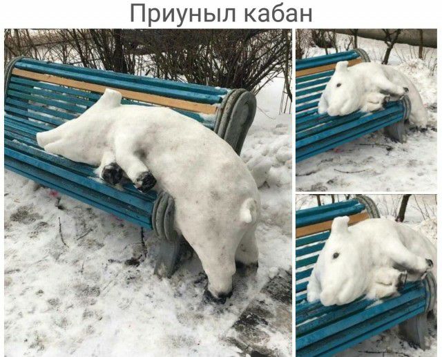 Приуныл кабан