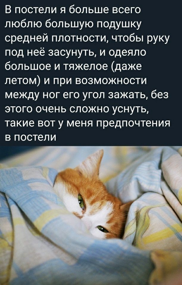 В постели я больше всего люблю большую подушку средней плотности чтобы руку под неё засунуть и одеяло большое и тяжелое даже летом и при возможности между ног его угол зажать без этого очень сложно уснуть такие вот у меня предпочтения В ПОСТВЛ И