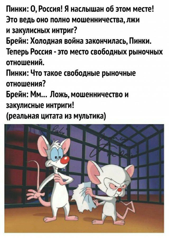 Пинки 0 Россия Я наслышан об этом месте Это ведь оно полно мошенничества лжи и закулисных интриг Брейн Холодная война закончилась Пинки Теперь Россия это место свободных рыночных отношений Пинки Что такое свободные рыночные отношения Брейн Мм Ложь мошенничество и закулисные интриги реальная цитата из мультика