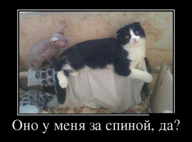 А Оно у меня за спиной да
