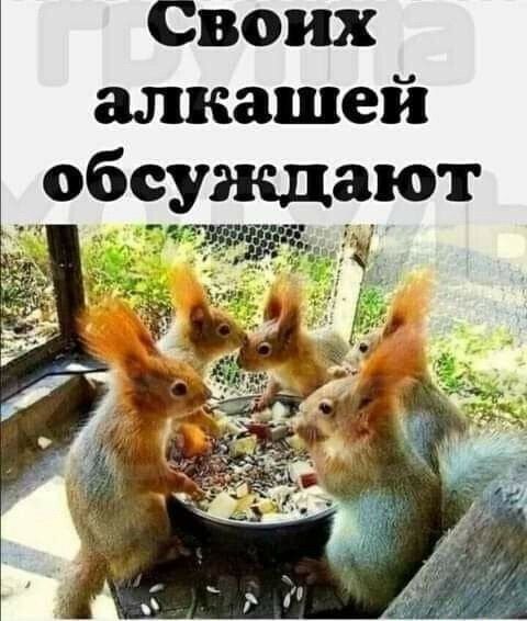 Своих алкашей обсуждают