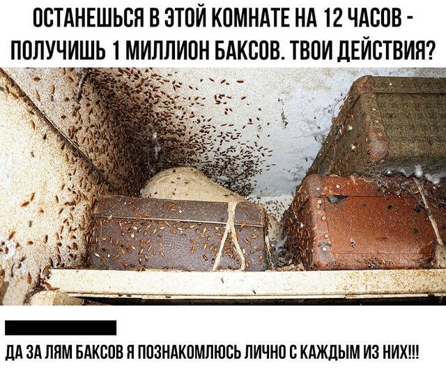 ПСТАНЕШЬВЯ В ЭТОЙ КПМНАТЕ НА 12 ЧАСОВ ППЛУЧИШЬ 1 МИЛЛИОН БАКСПВ ТВПИ ДЕЙСТВИЯ дд ЗА ППМ БАКСОВ П ППЗНАКПМПЮСЬ лично В КАЖДЫМ ИЗ НИХ