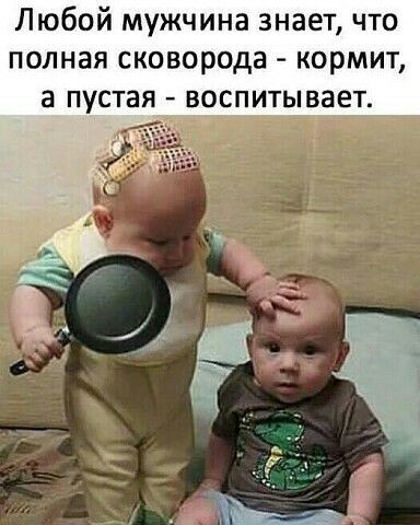 Любой мужчина знает что полная сковорода кормит а пустая воспитывает