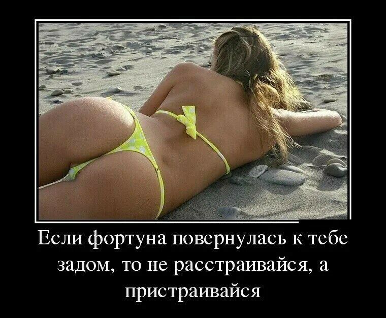 Если фортуна повернулась к тебе задом то не расстраивайся а пристраивайся