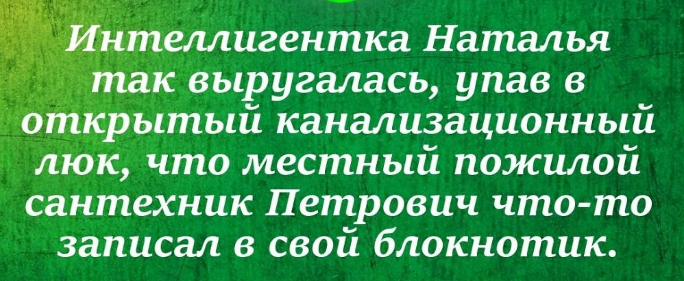 Интеллигентка Наталья так выругалась упав в Открытый канализационный люк что местный пожилой сантехник Петрович что то записал в свой блокнотик