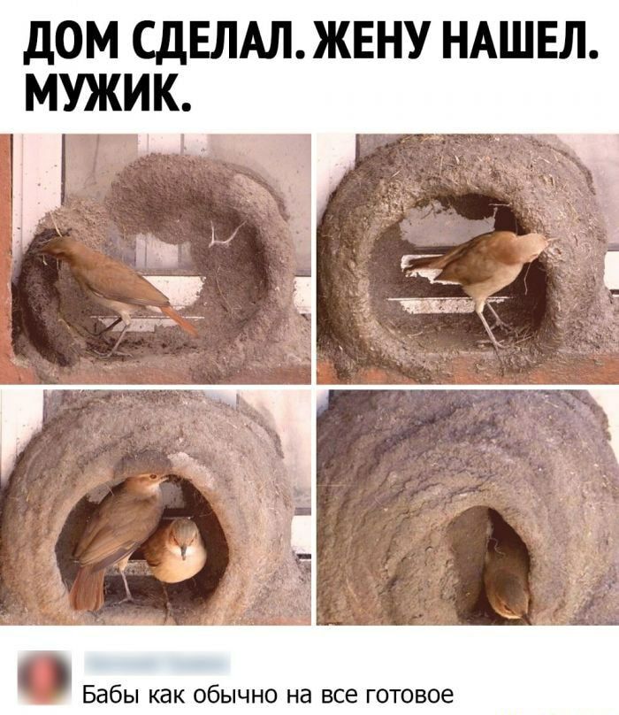 ДОМ СДЕЛАЛЖЕНУ НАШЕЛ Бабы как обычно на все готовое